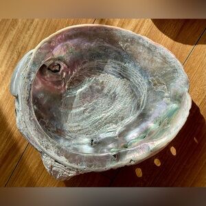 abalone shell.approximately 8” across. Saved %100 natural (not polished)